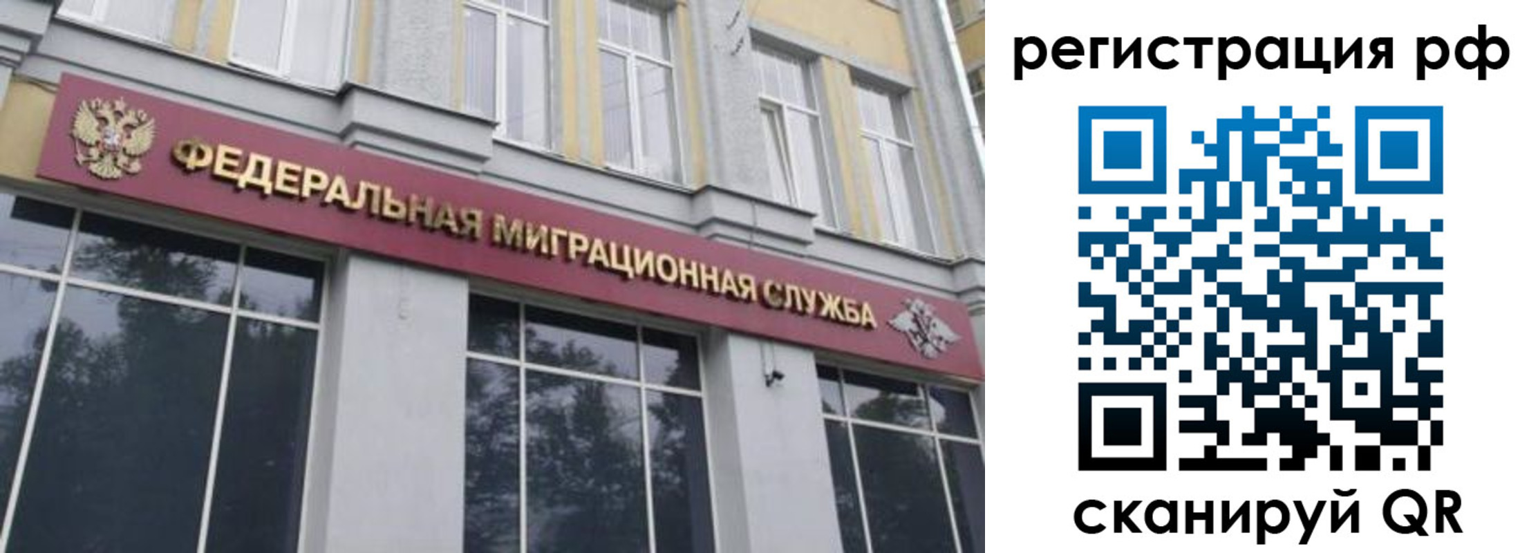 прописка законно в Курской области