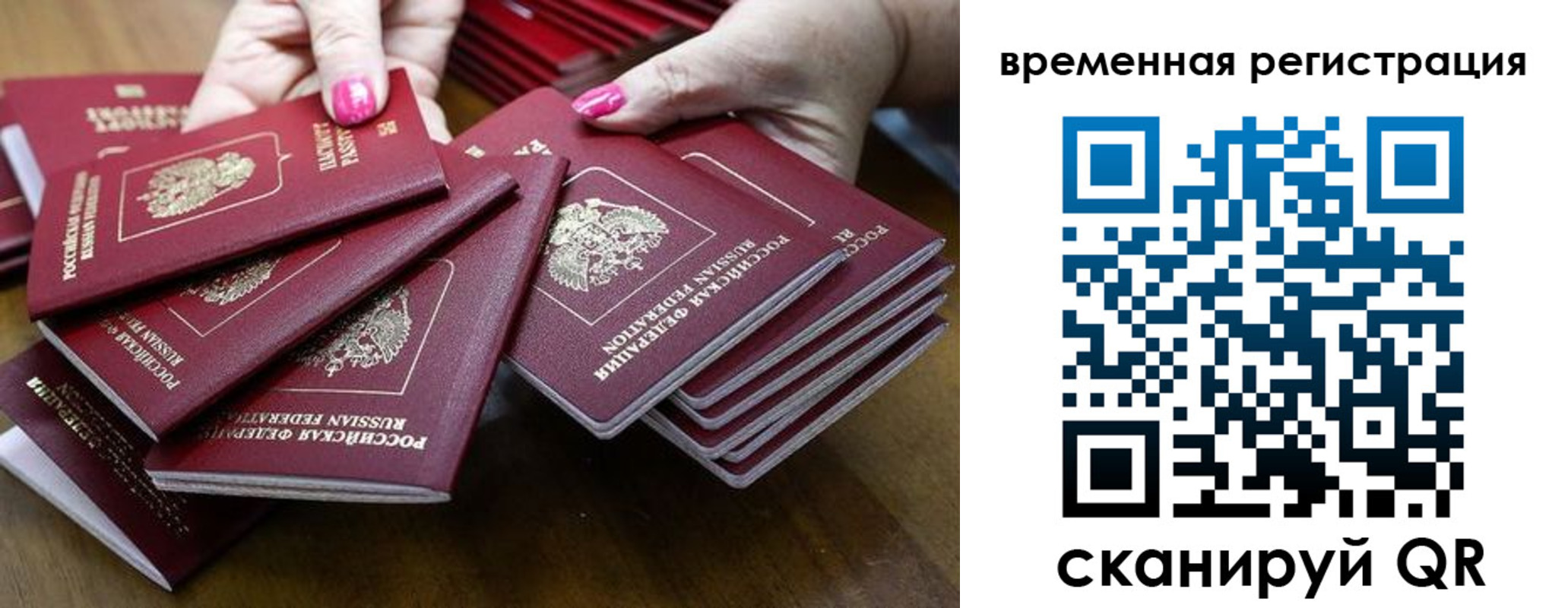 временная регистрация поиск в Курской области